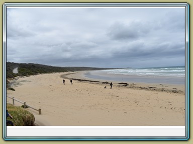 Great Ocean Road (VIC)