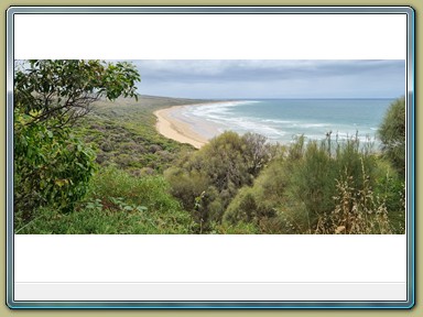 Great Ocean Road (VIC)