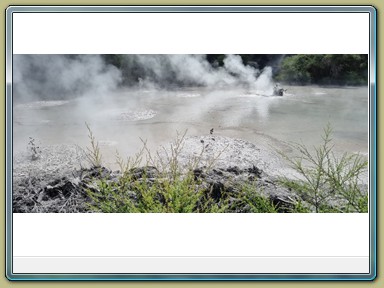 Waiotapu Mud Pools (NZL)