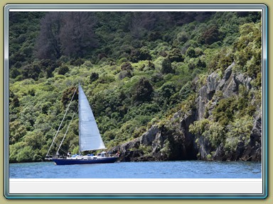 Chris Jolly Scenic Cruise Lake Taupo (NZL)