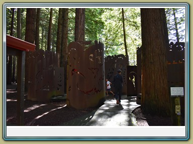 Redwoods Treewalk, Rotorua (NZL)