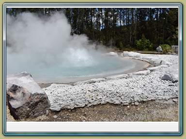 Wairakei Terraces and Thermal Health spa, Taupo (NZL)