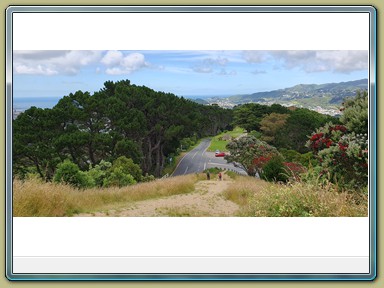 Mount Victoria Lookout, Wellington (NZL)