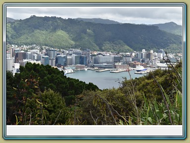 Mount Victoria Lookout, Wellington (NZL)