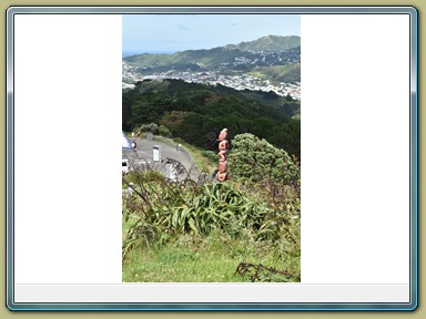 Mount Victoria Lookout, Wellington (NZL)