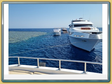 Tauchfahrt zum Panorama Reef