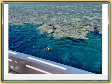 Tauchfahrt zum Panorama Reef