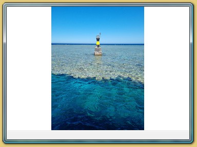 Tauchfahrt zum Middle Reef