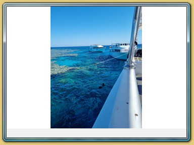 Tauchfahrt zum Middle Reef