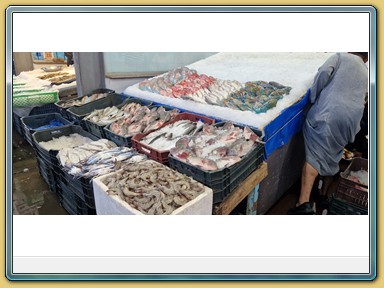 Hurghada - Fischmarkt